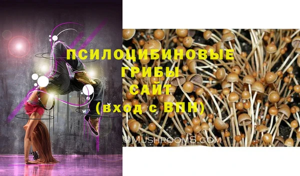 мяу мяу кристалл Алексин