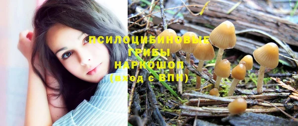 мяу мяу мука Алзамай