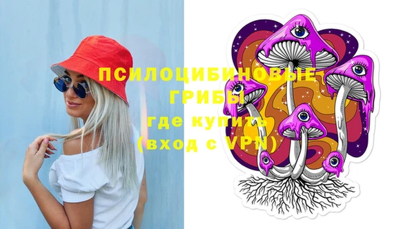 гашик Абаза