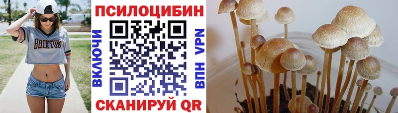 Псилоцибиновые грибы прущие грибы  Гусь-Хрустальный 