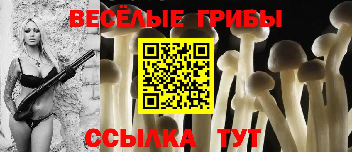 Гусь-Хрустальный  Псилоцибиновые грибы Psilocybine cubensis  Вход с VPN  Псилоцибиновые грибы Psilocybe 